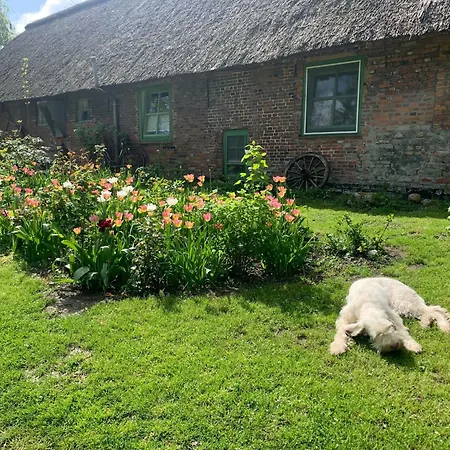 Holiday home Modellregion- Kruemelkate Eiderstedt Witzwort